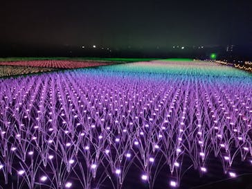 東京メガイルミに投稿された画像（2022/11/14）