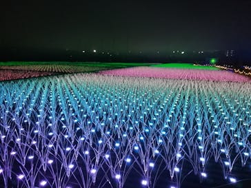 東京メガイルミに投稿された画像（2022/11/14）