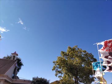 日本モンキーパークに投稿された画像（2022/11/14）