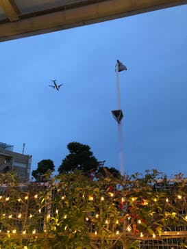 東京メガイルミに投稿された画像（2022/11/14）