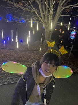 KYOTO ILLUMINATION SYNESTHESIA HILLS るり渓温泉に投稿された画像（2022/11/14）