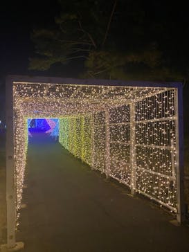 KYOTO ILLUMINATION SYNESTHESIA HILLS るり渓温泉に投稿された画像（2022/11/14）