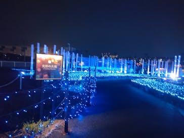 東京メガイルミに投稿された画像（2022/11/14）