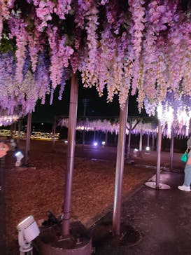 東京メガイルミに投稿された画像（2022/11/14）