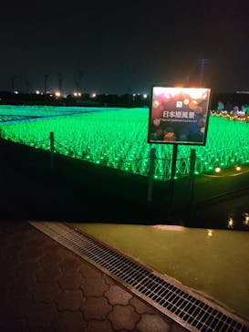 東京メガイルミに投稿された画像（2022/11/14）