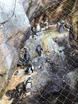 伊豆・三津シーパラダイスに投稿された画像（2022/11/14）