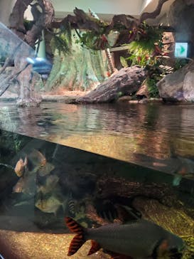 サンシャイン水族館に投稿された画像（2022/11/14）