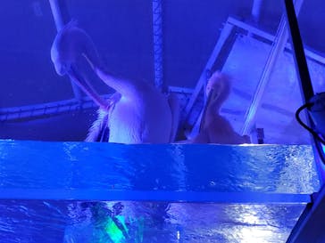 サンシャイン水族館に投稿された画像（2022/11/14）