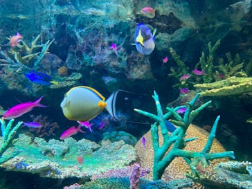 サンシャイン水族館に投稿された画像（2022/11/14）