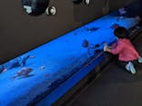 環境水族館アクアマリンふくしまに投稿された画像（2022/11/14）