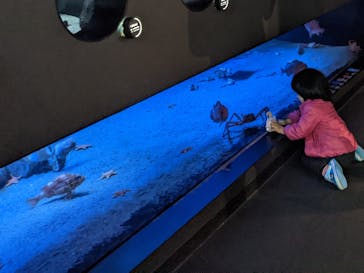 環境水族館アクアマリンふくしまに投稿された画像（2022/11/14）