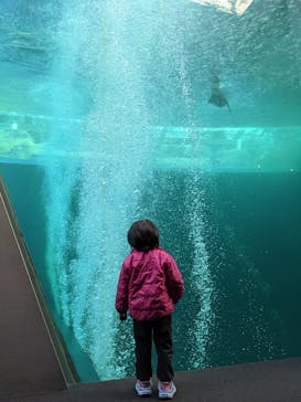 環境水族館アクアマリンふくしまに投稿された画像（2022/11/14）