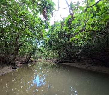 西表島 ADVENTURE PiPi（アドベンチャーピピ）に投稿された画像（2022/11/14）