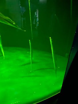 サンシャイン水族館に投稿された画像（2022/11/14）