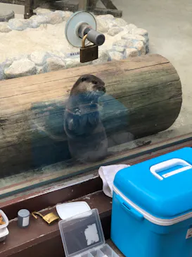 横浜・八景島シーパラダイスに投稿された画像（2022/11/14）