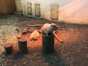 横浜・八景島シーパラダイスに投稿された画像（2022/11/14）