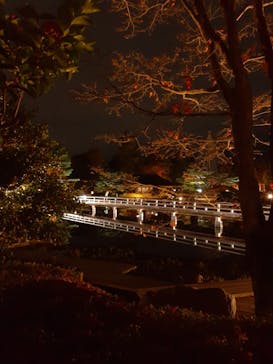 国営昭和記念公園 秋の夜散歩に投稿された画像（2022/11/14）
