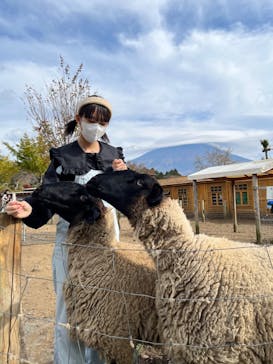 まかいの牧場に投稿された画像（2022/11/14）