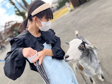 まかいの牧場に投稿された画像（2022/11/14）