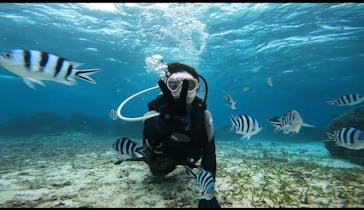 青の洞窟専門店　沖縄ダイビングショップ和に投稿された画像（2022/11/14）