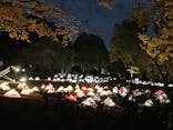国営昭和記念公園 秋の夜散歩に投稿された画像（2022/11/14）