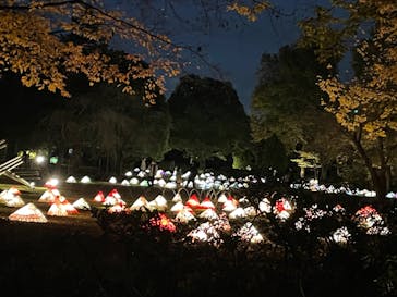 国営昭和記念公園 秋の夜散歩に投稿された画像（2022/11/14）