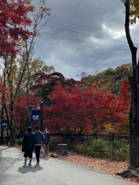 ムーミンバレーパークに投稿された画像（2022/11/14）