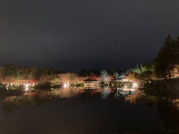 国営昭和記念公園 秋の夜散歩に投稿された画像（2022/11/14）