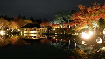 国営昭和記念公園 秋の夜散歩に投稿された画像（2022/11/14）