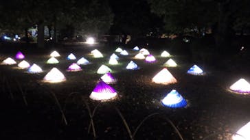 国営昭和記念公園 秋の夜散歩に投稿された画像（2022/11/14）