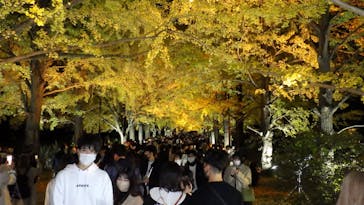 国営昭和記念公園 秋の夜散歩に投稿された画像（2022/11/14）