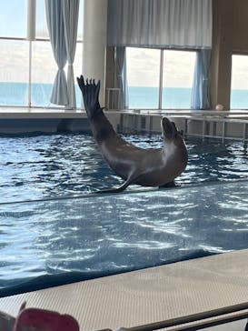 アクアワールド茨城県大洗水族館に投稿された画像（2022/11/14）