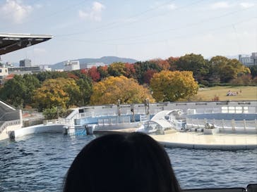 京都水族館に投稿された画像（2022/11/14）