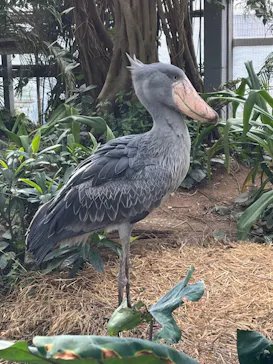 神戸どうぶつ王国に投稿された画像（2022/11/14）