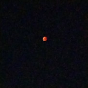 タイムズ スパ・レスタに投稿された画像（2022/11/14）