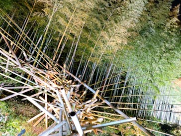 国営昭和記念公園 秋の夜散歩に投稿された画像（2022/11/14）