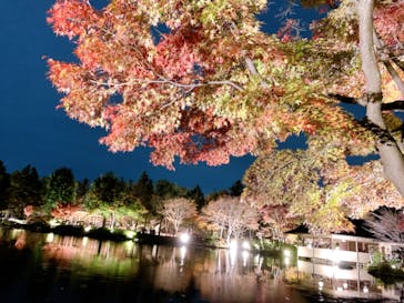 国営昭和記念公園 秋の夜散歩に投稿された画像（2022/11/14）