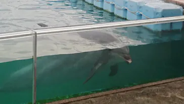 横浜・八景島シーパラダイスに投稿された画像（2022/11/14）