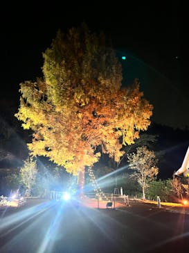 ムーミンバレーパークに投稿された画像（2022/11/14）