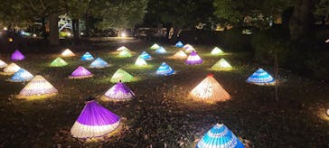 国営昭和記念公園 秋の夜散歩に投稿された画像（2022/11/14）