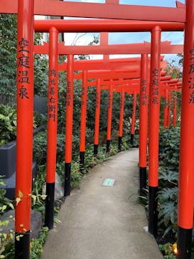 空庭温泉 OSAKA BAY TOWER（オオサカベイタワー）に投稿された画像（2022/11/14）