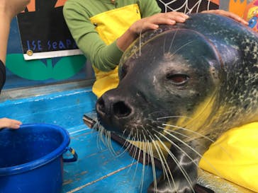 ゼロ距離水族館 伊勢シーパラダイスに投稿された画像（2022/11/14）