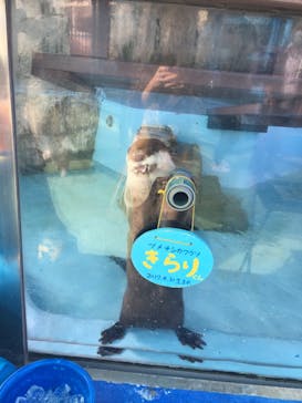 ゼロ距離水族館 伊勢シーパラダイスに投稿された画像（2022/11/14）