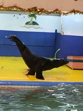 ゼロ距離水族館 伊勢シーパラダイスに投稿された画像（2022/11/14）
