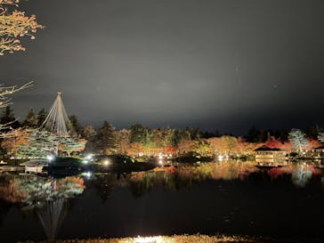 国営昭和記念公園 秋の夜散歩に投稿された画像（2022/11/14）