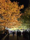 国営昭和記念公園 秋の夜散歩に投稿された画像（2022/11/15）