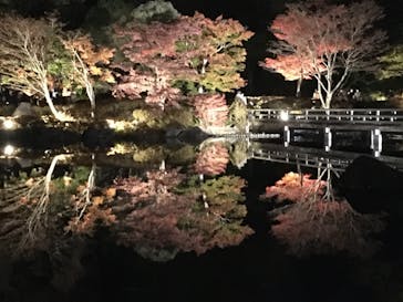 国営昭和記念公園 秋の夜散歩に投稿された画像（2022/11/14）