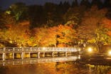 国営昭和記念公園 秋の夜散歩に投稿された画像（2022/11/15）