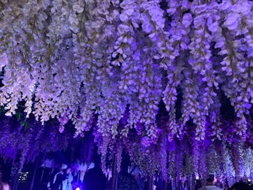 東京メガイルミに投稿された画像（2022/11/15）