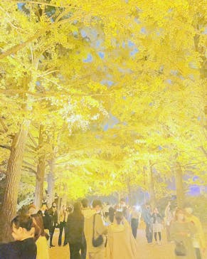 国営昭和記念公園 秋の夜散歩に投稿された画像（2022/11/15）